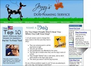 nameadog2 300x218 Blog Monetization Models:  Turn Your Blog into a Money Making Machine