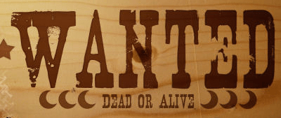 Is SEO Dead or Alive?