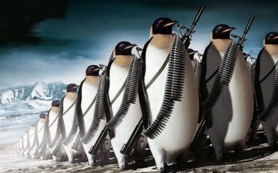 The Dangers of Black Hat SEO After Google Penguin