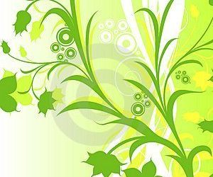 Are Custom Web Designs Being Replaced By WordPress?